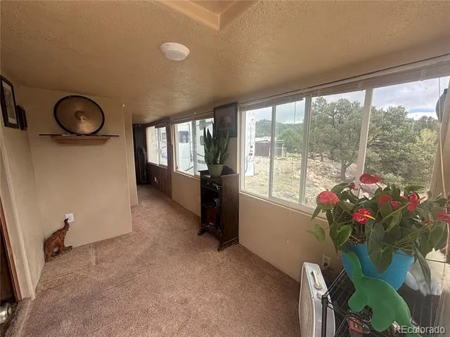 10795 County Road 197 A #282 & 283 Nathrop, CO 81236