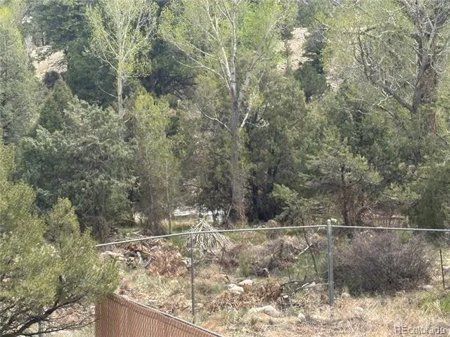 10795 County Road 197 A #282 & 283 Nathrop, CO 81236