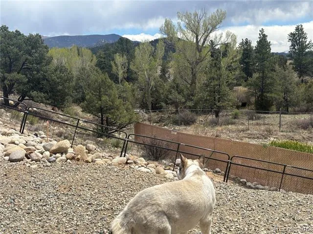 10795 County Road 197 A #282 & 283 Nathrop, CO 81236