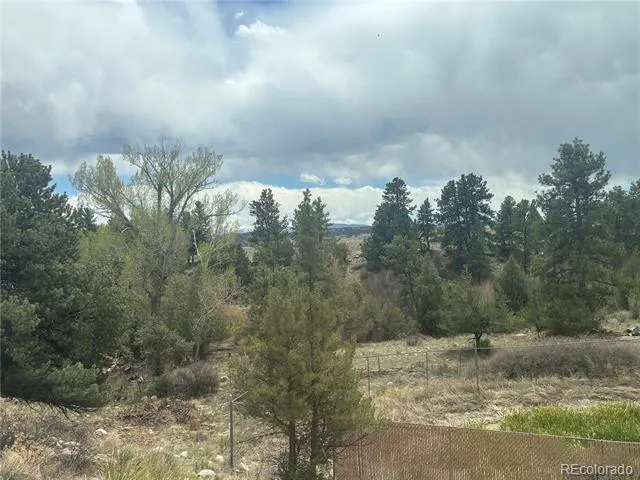 10795 County Road 197 A #282 & 283 Nathrop, CO 81236
