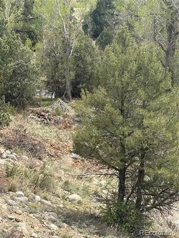 10795 County Road 197 A #282 & 283 Nathrop, CO 81236