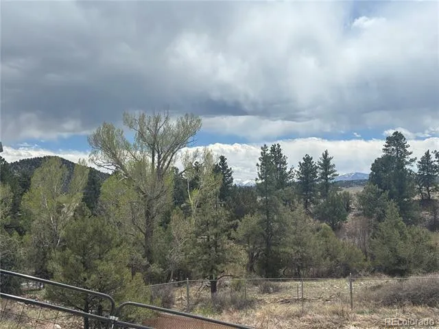 10795 County Road 197 A #282 & 283 Nathrop, CO 81236