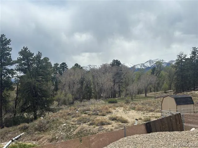 10795 County Road 197 A #282 & 283 Nathrop, CO 81236