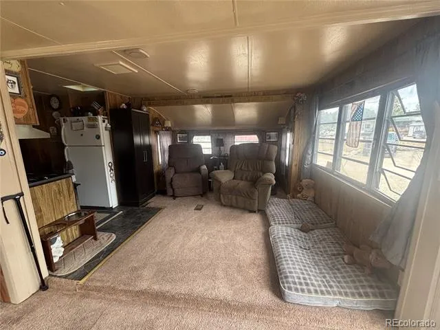 10795 County Road 197 A #282 & 283 Nathrop, CO 81236