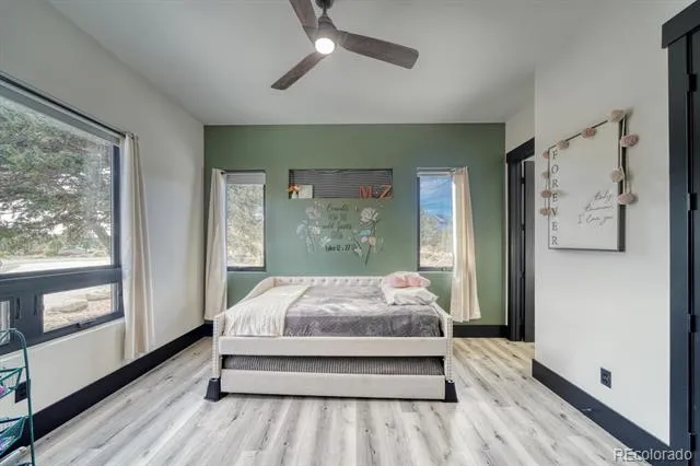 30019 Teal Court Buena Vista, CO 81211