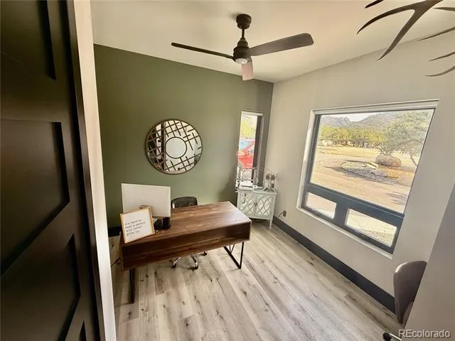 30019 Teal Court Buena Vista, CO 81211