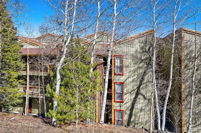 2401 Ryan Gulch Court #109 Silverthorne, CO 80498
