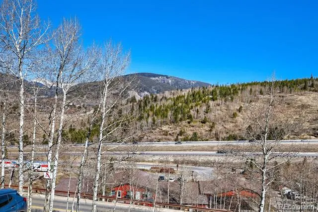 2401 Ryan Gulch Court #109 Silverthorne, CO 80498