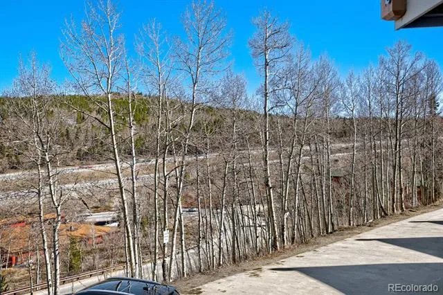 2401 Ryan Gulch Court #109 Silverthorne, CO 80498