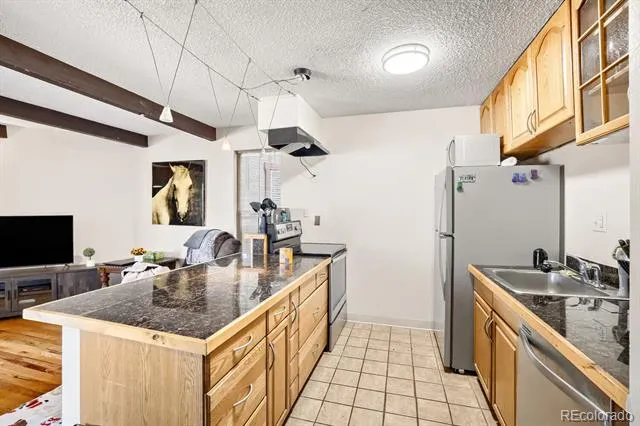 2401 Ryan Gulch Court #109 Silverthorne, CO 80498