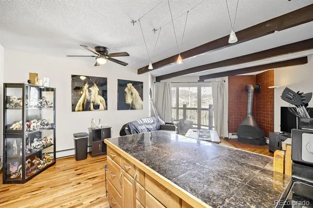 2401 Ryan Gulch Court #109 Silverthorne, CO 80498