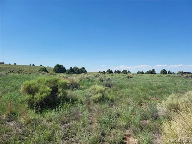 Address Not Shown Crestone, CO 81131