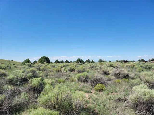 Address Not Shown Crestone, CO 81131