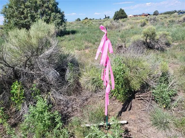 Address Not Shown Crestone, CO 81131