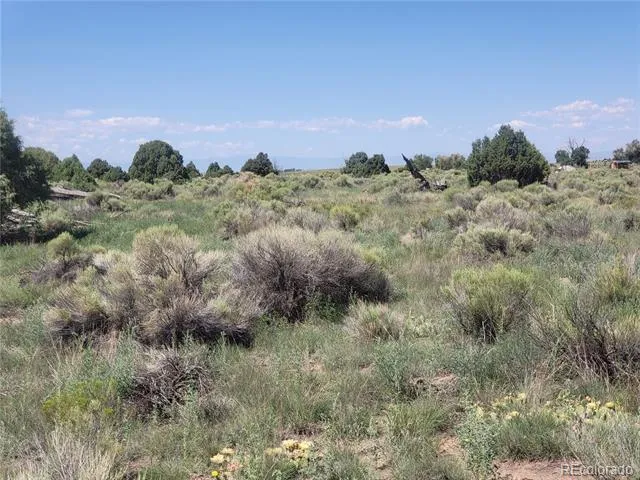 Address Not Shown Crestone, CO 81131