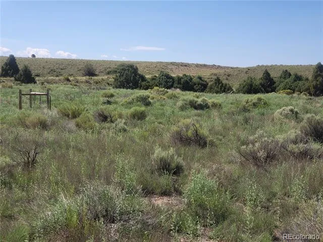 Address Not Shown Crestone, CO 81131