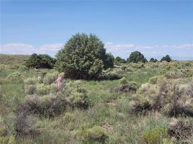 Address Not Shown Crestone, CO 81131