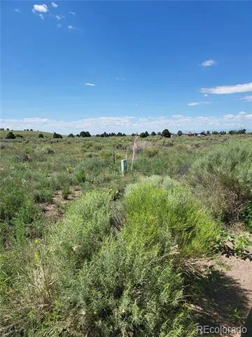 Address Not Shown Crestone, CO 81131