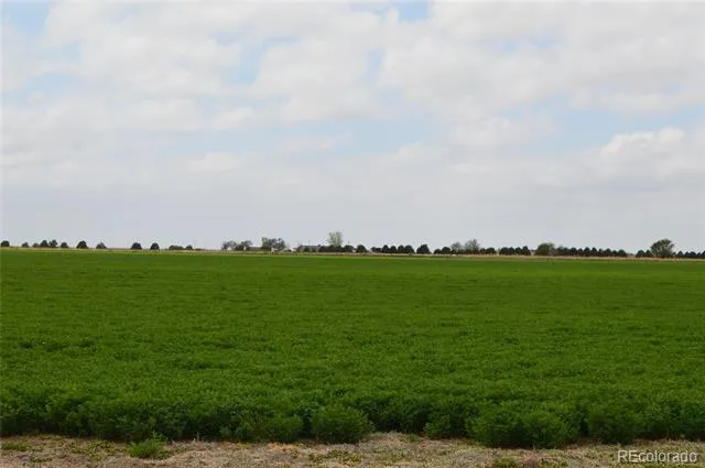 000 County Road 24 La Junta, CO 81050
