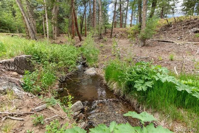3285 County Road 47 Howard, CO 81233