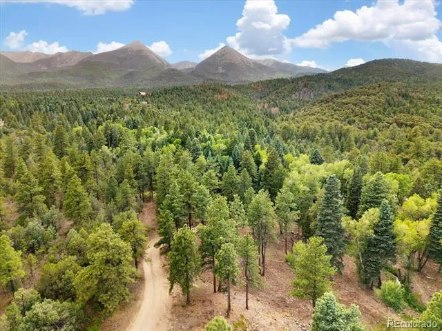 3285 County Road 47 Howard, CO 81233