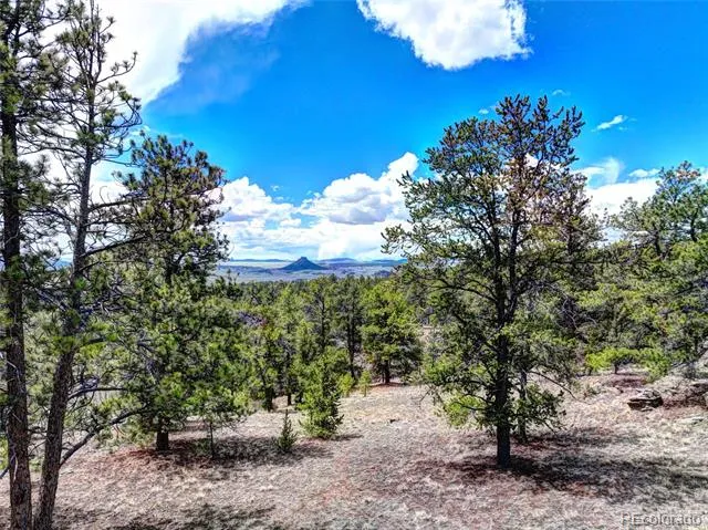 104 York Court Jefferson, CO 80456