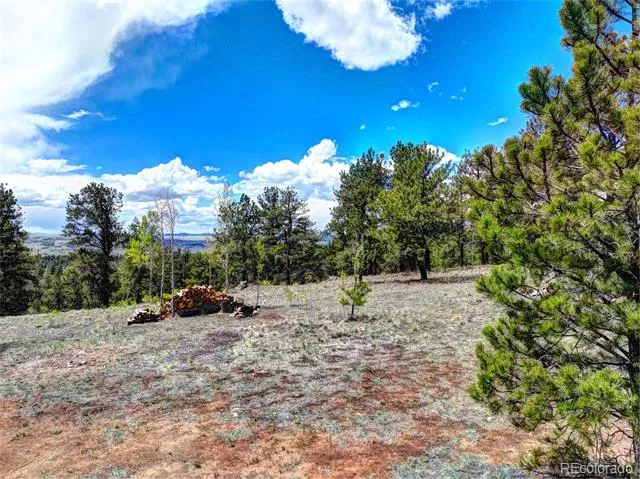 104 York Court Jefferson, CO 80456