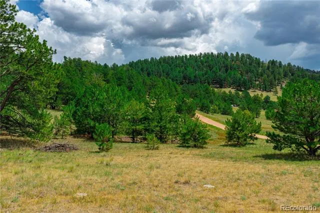Lot 28 Penrose Circle Cripple Creek, CO 80813