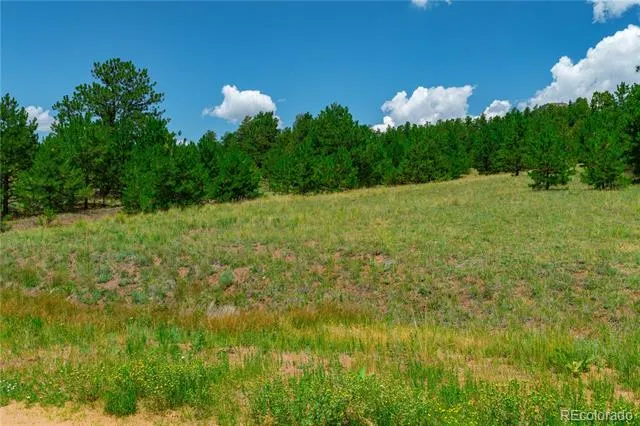 Lot 28 Penrose Circle Cripple Creek, CO 80813