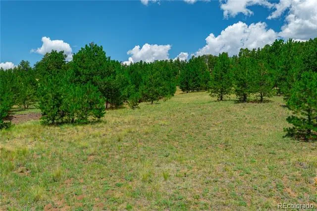 Lot 28 Penrose Circle Cripple Creek, CO 80813