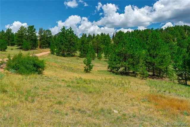 Lot 28 Penrose Circle Cripple Creek, CO 80813