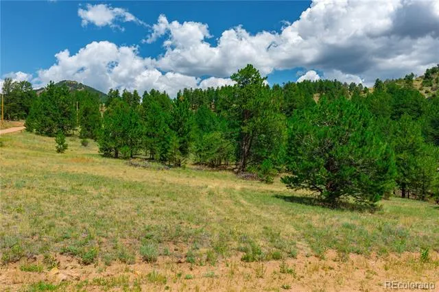 Lot 28 Penrose Circle Cripple Creek, CO 80813