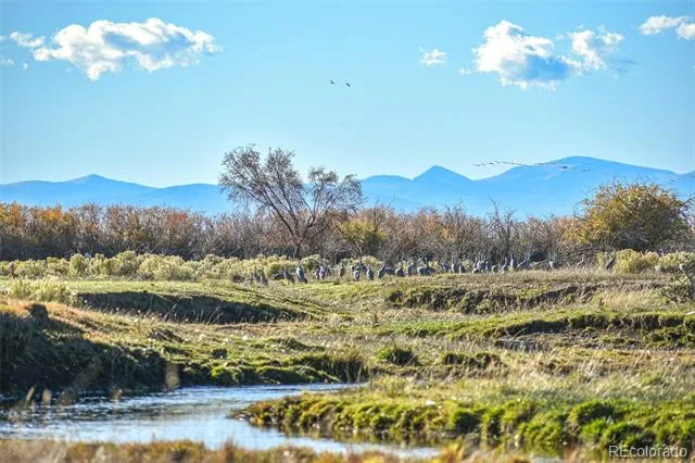 0 County Road 15.5 Blanca, CO 81123