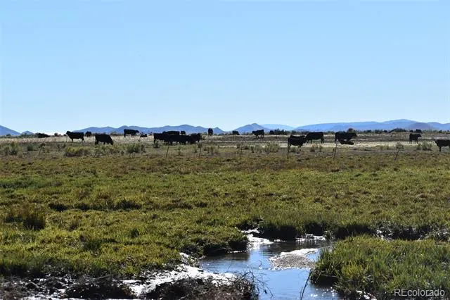 0 County Road 15.5 Blanca, CO 81123