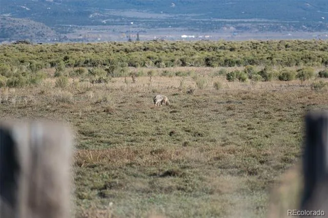 0 County Road 15.5 Blanca, CO 81123