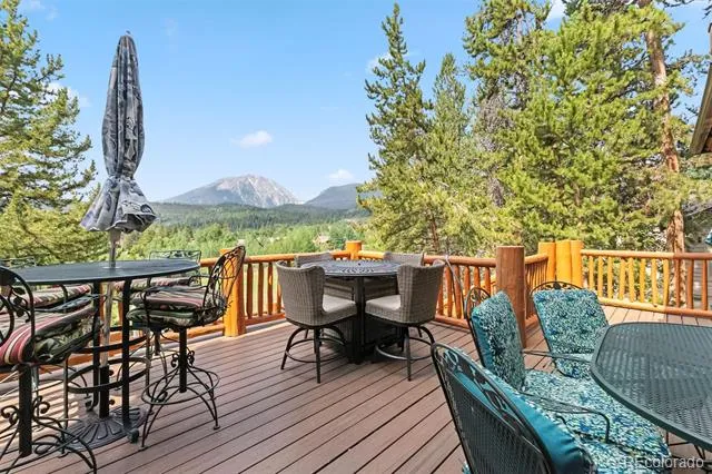 1730 Red Hawk Road Silverthorne, CO 80498