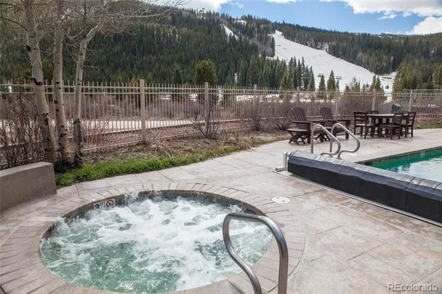 58 Hawk Circle #2342 Dillon, CO 80435