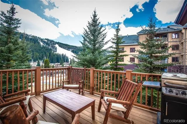 58 Hawk Circle #2342 Dillon, CO 80435