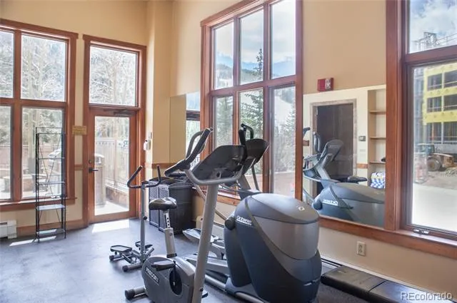 58 Hawk Circle #2342 Dillon, CO 80435
