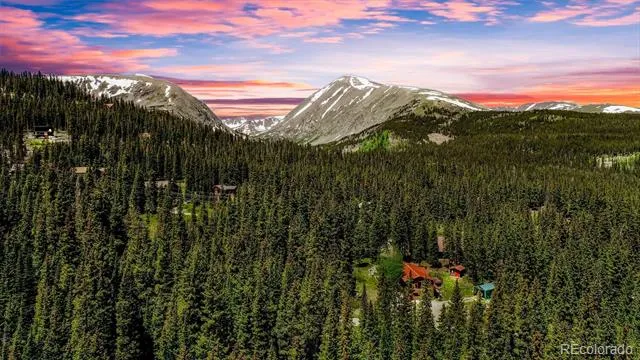 0307 CR 674 Breckenridge, CO 80424