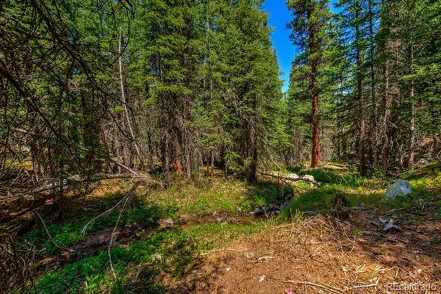 0307 CR 674 Breckenridge, CO 80424