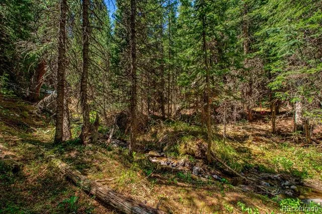 0307 CR 674 Breckenridge, CO 80424