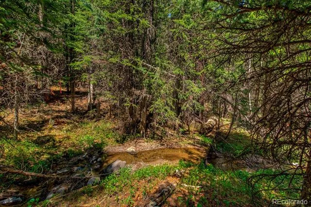 0307 CR 674 Breckenridge, CO 80424