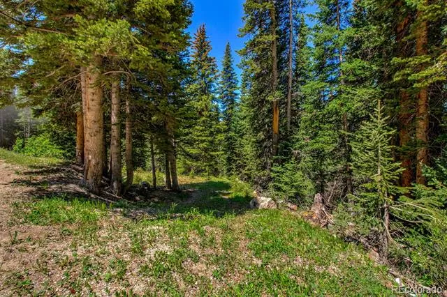 0307 CR 674 Breckenridge, CO 80424
