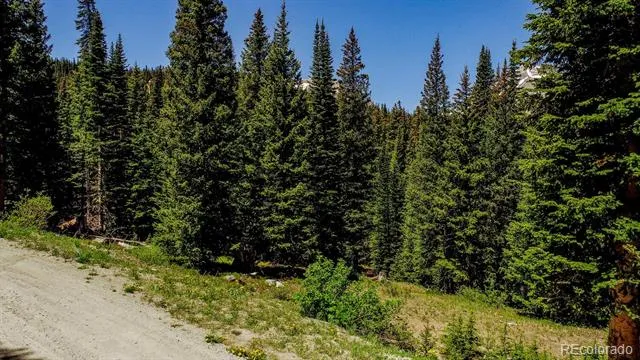 0307 CR 674 Breckenridge, CO 80424