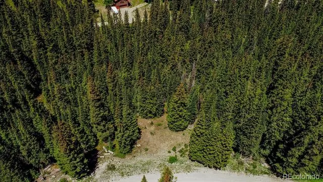 0307 CR 674 Breckenridge, CO 80424