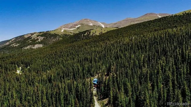 0307 CR 674 Breckenridge, CO 80424