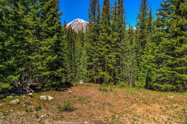 0307 CR 674 Breckenridge, CO 80424