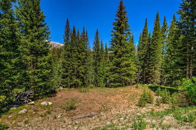 0307 CR 674 Breckenridge, CO 80424