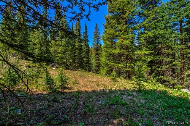 0307 CR 674 Breckenridge, CO 80424